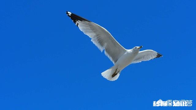 摄影中，后期制作厉害的人有多大的优势呢你怎么看