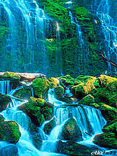 头条和创作者谁更离不开谁