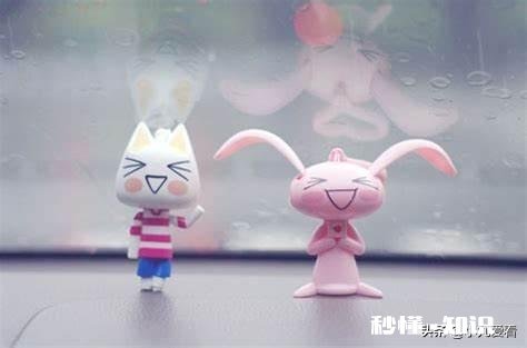 大二女生从来没被人追求过，该如何改变现状