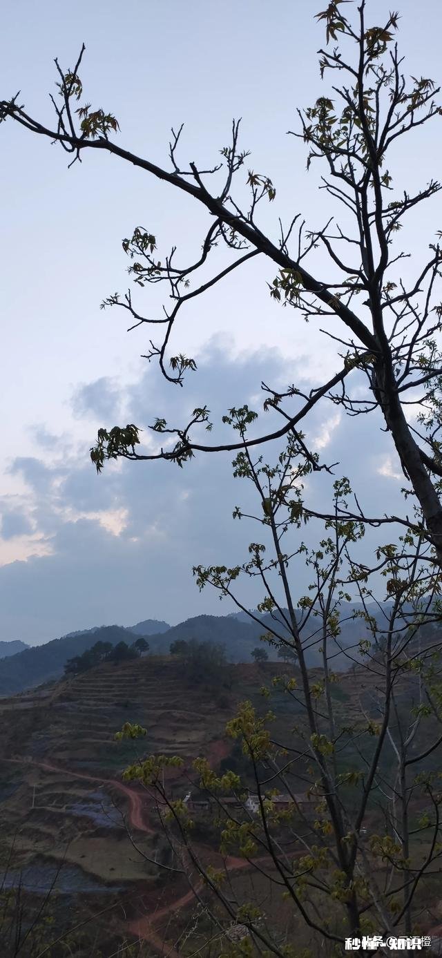 人为什么一定要和更好的人比累不累