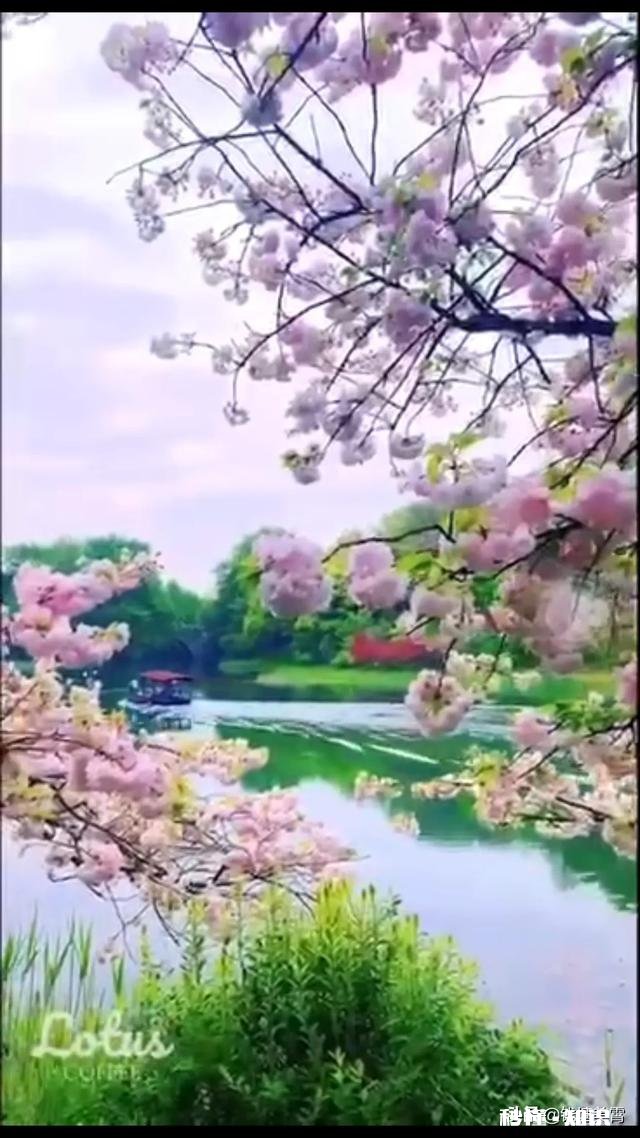 渣男跟直男癌，你会选择跟谁谈恋爱