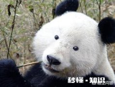 你们春节期间同学聚会吗你们爱去吗