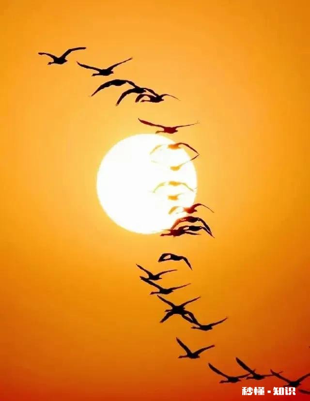 上联：月是云魂魄，下联怎么对