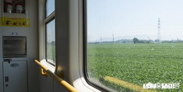 晕车是怎么回事