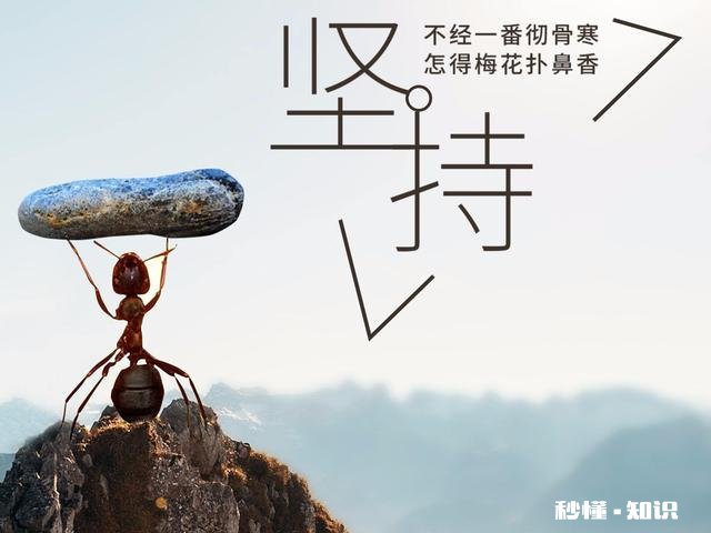 怎么才能让自己坚持下来，持续做一件事