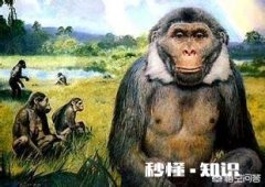 人类向直立行走进化的动机是什么