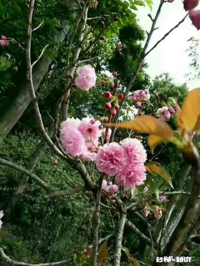 周边有个公园，总有老人在里面引吭高歌吹拉弹唱，怎么办