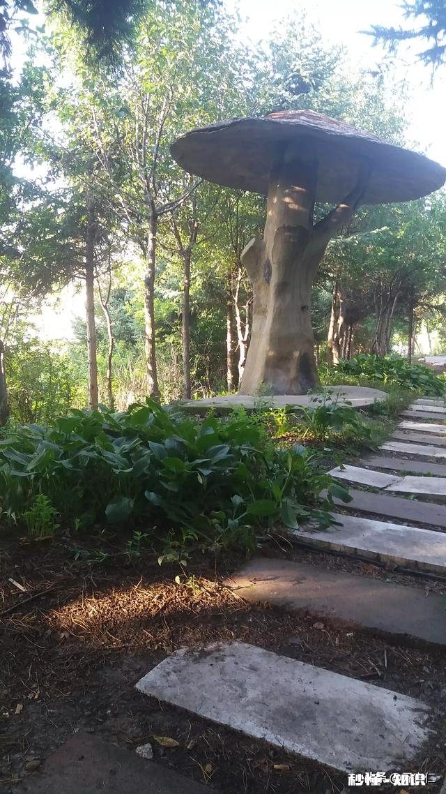 周边有个公园，总有老人在里面引吭高歌吹拉弹唱，怎么办