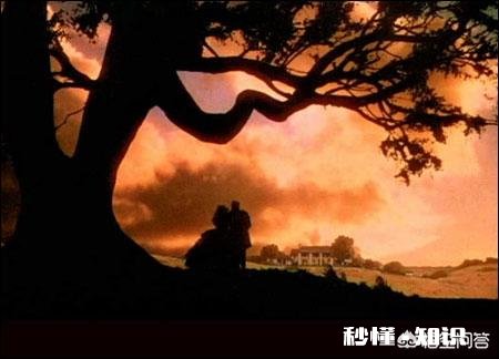 对你影响最大的一本提高自我修养的书是什么