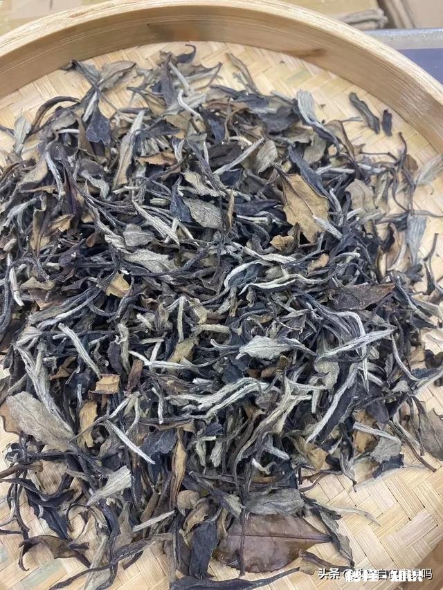 福鼎白茶的年份怎么区分