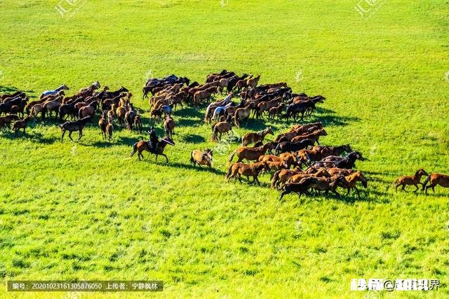 如果什么条件都符合了，你会选择去哪里旅游