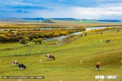 如果什么条件都符合了，你会选择去哪里旅游