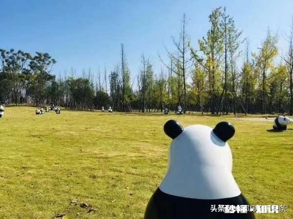 成都哪个区域买房更能兼顾投资和自住