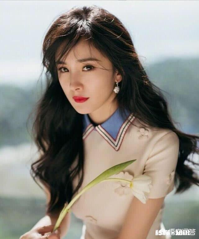 如何评价高人气女星杨幂