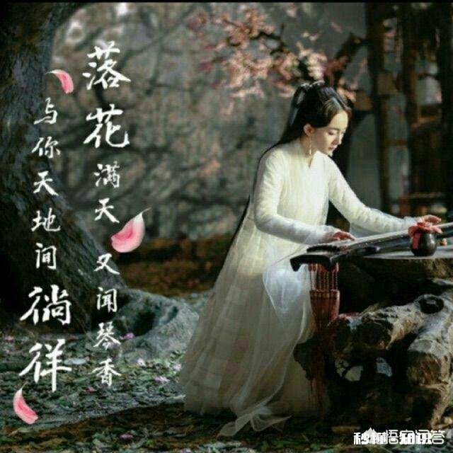 如何评价高人气女星杨幂