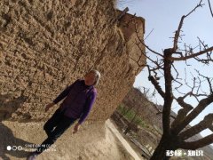 有没有和我一样的，干什么都能地利、人和，但就是赶不上天时有何感触