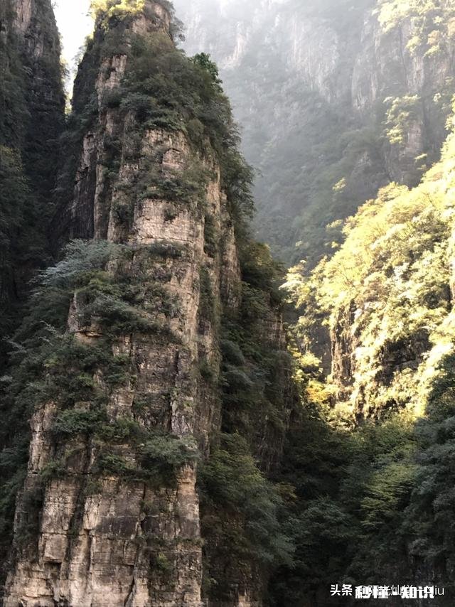 夏季上山，要注意哪些植物、昆虫和动物