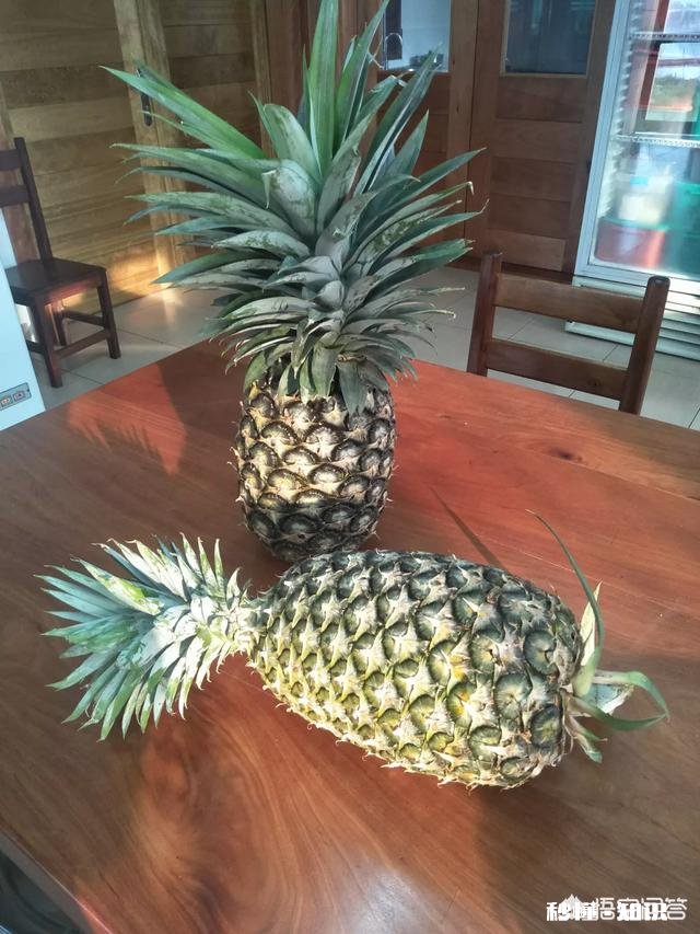 上联：行人要走人行道。下联怎么对