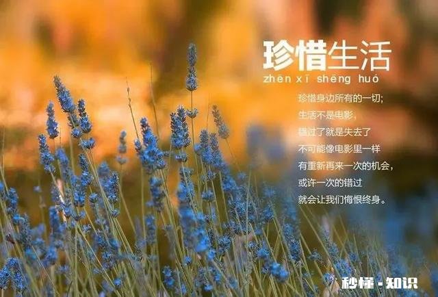 阳光灿烂的日子里，你会跟自己说句什么话呢