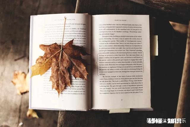 如何阅读和做读书笔记还有写书评的