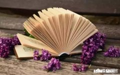 如何阅读和做读书笔记还有写书评的