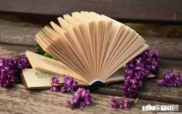 如何阅读和做读书笔记还有写书评的