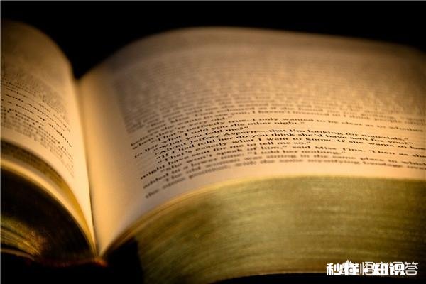 如何阅读和做读书笔记还有写书评的