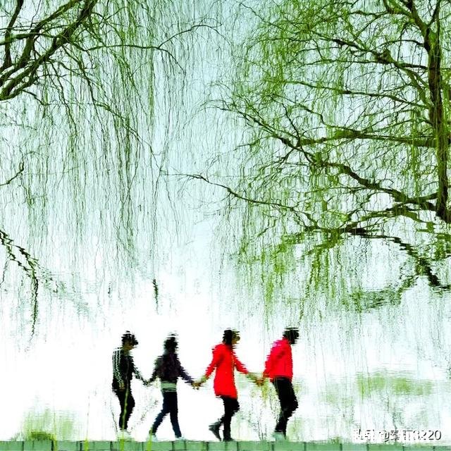 50的定焦镜头能拍什么