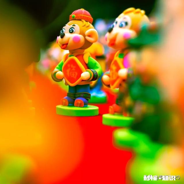 50的定焦镜头能拍什么