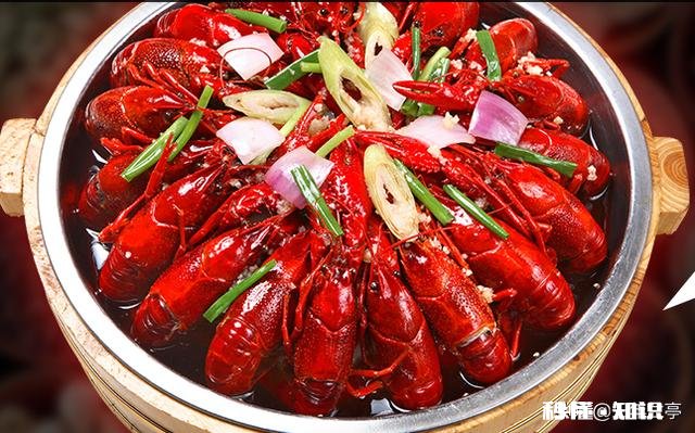 日本虎杖在英国泛滥成灾，为何在我国连长高都成问题