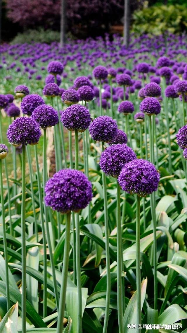 一人工伤掌骨骨折，休息一月后勉强上班，老板扣留保险赔付怎么办