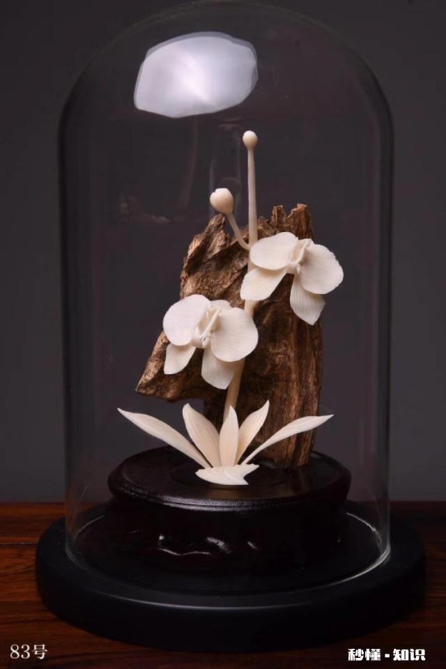 谁懂沉香手串帮忙看看