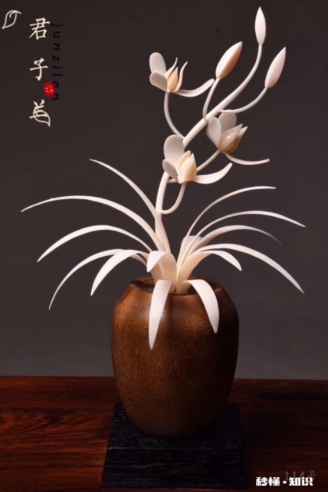 谁懂沉香手串帮忙看看