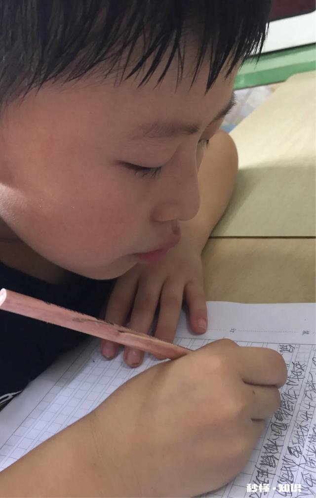 小学作文的突破点在哪些方面