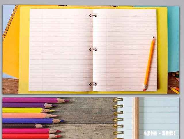 小学作文的突破点在哪些方面