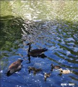 就目前学历贬值就业困难的形势，继续学术深造还有必要吗