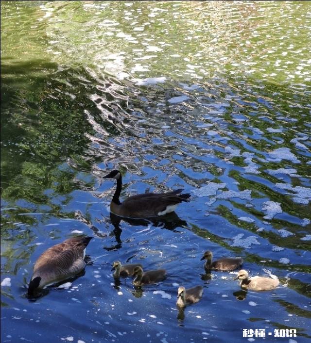 就目前学历贬值就业困难的形势，继续学术深造还有必要吗