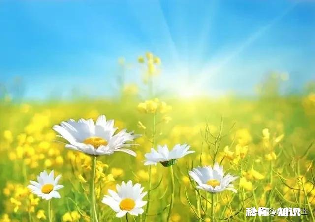 我现在遇到了困难,能给我一句忠告吗你有什么忠告分享