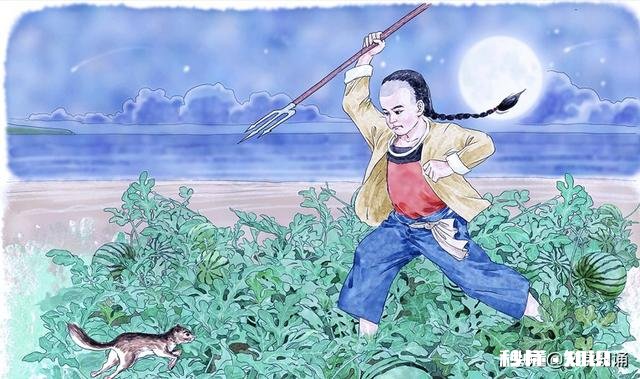 高一学生想当小说家，想用接下来的时间写小说，可行吗将来会后悔吗