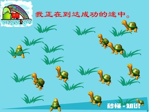 把中小学生的英语必修课改为选修课可行不可行