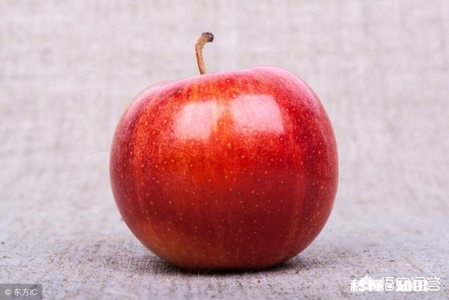 为什么生长期的水果需要套袋