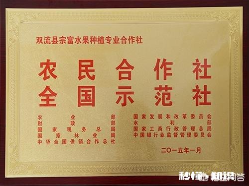 为什么生长期的水果需要套袋