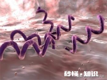 得了梅毒后我该如何继续面对生活和未来