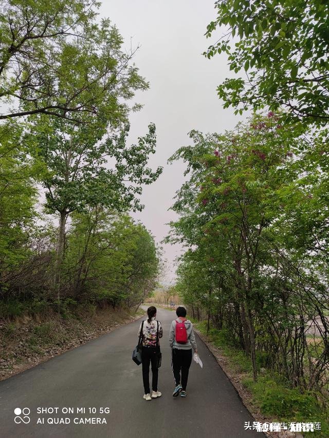 你见过最美的背影是谁的