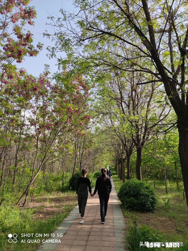 你见过最美的背影是谁的