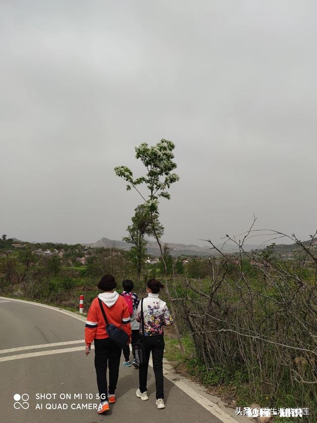 你见过最美的背影是谁的