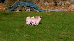 想要进入娱乐圈都需要具备一些什么条件和背景