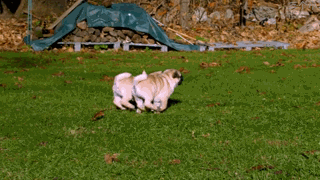 想要进入娱乐圈都需要具备一些什么条件和背景