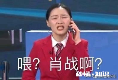 2020年各大电视台春晚中，哪些语言类节目值得一看