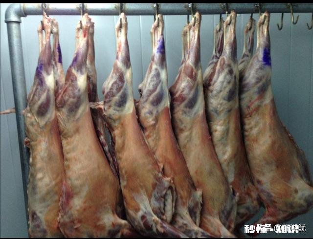 腥辣的腥到底是一种什么味道